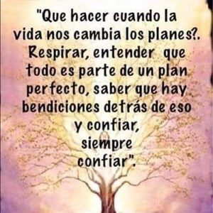 Meet your Posher, Jose